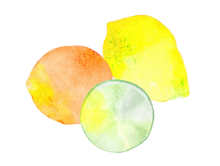Watercolor Citrus Fruits: Lemon, Lime, and Orange