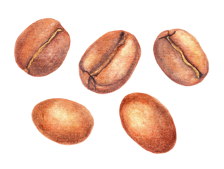 Watercolor Coffee Beans Isolated, Illustration, Food Art