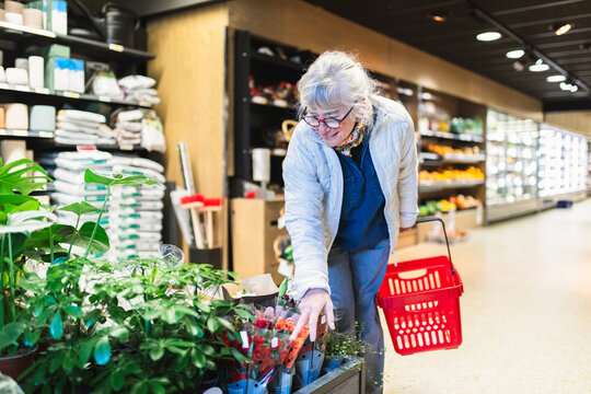 Senior Woman Shopping for Houseplants in Supermarket