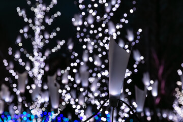 冬の夜のイルミネーション