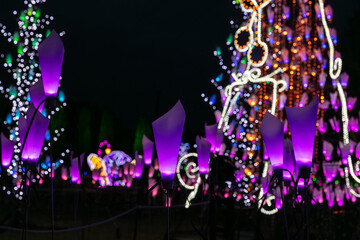 冬の夜のイルミネーション