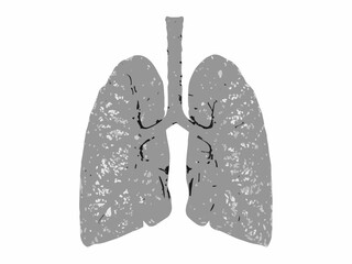 Detailed illustration of human lungs showcasing bronchial branching and alveolar structure