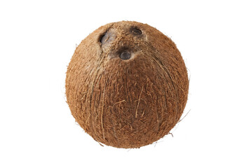 Whole Coconut on White Background: Tropical Fruit