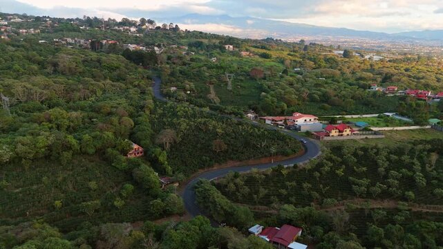 Aerial tracking shot of a winding road crossing lush coffee plantations and traditional houses in San Rafael, Heredia, Costa Rica, with misty mountains in the distance