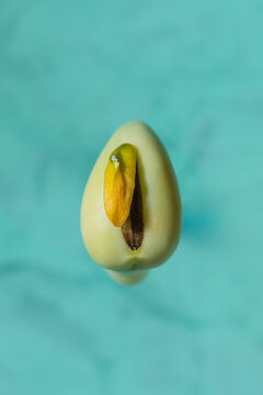 Close-Up of a Vibrant broad bean