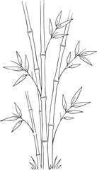 Fototapeta premium Bamboo Stalks Line Art Illustration Minimalist Black Outline Isolated