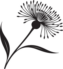 Black and white dandelion flower silhouette illustration