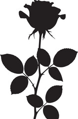 Black Rose Silhouette with Leaves Isolated on Transparent Background