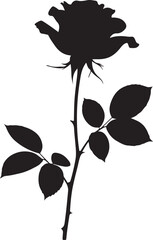 Silhouette of a Single Rose Flower on Transparent Background