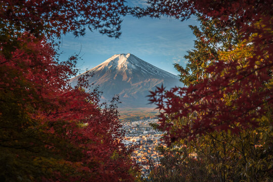 Mount Fuji peak over autumn leaves in Japan