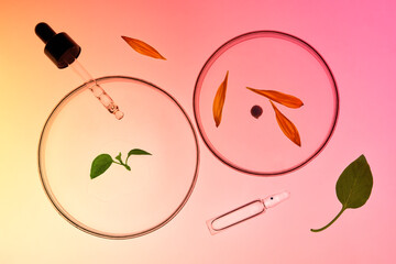 Still Life with Pipette, Ampule, Petals and Leaves in Petri Dishes