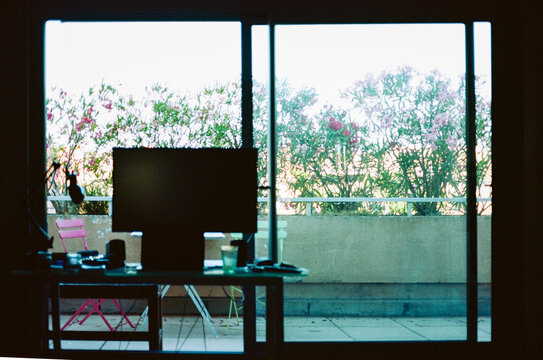 Cozy Workspace and Blooming Flowers Outside