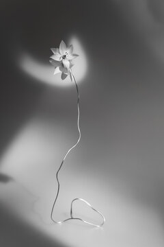 Elegant flower design with a thin wire stem against a gray background