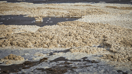 Lake Eyre dry salt flat landscape with water and foam