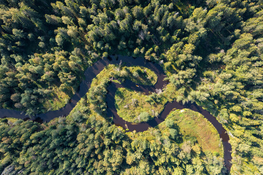 Aerial View meander of the river Through a Lush Forest