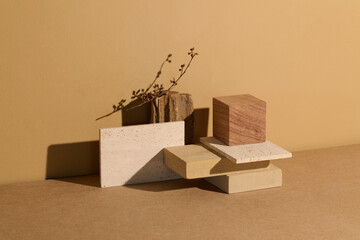 Abstract composition of geometric shapes and natural elements