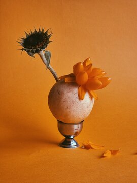 Fruit and flower 