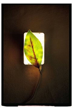Green Energy