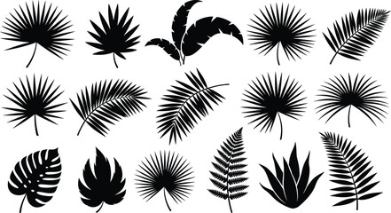 Collection of various tropical palm tree leaves silhouettes © mdkamran
