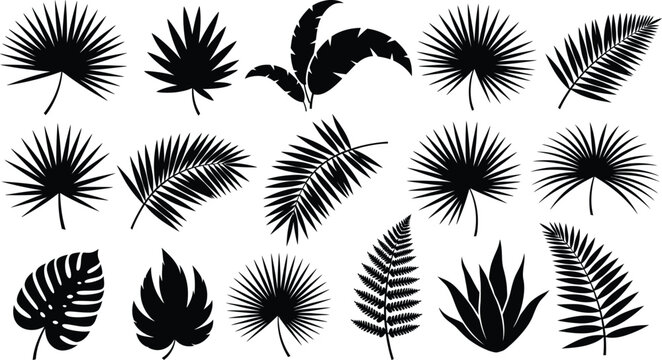 Collection of various tropical palm tree leaves silhouettes