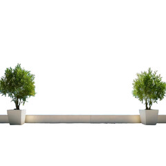 Two shrubs on a white wall against black