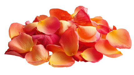 Pile of vibrant peach rose petals on transparent background for warm decorations design