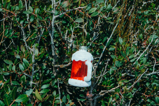 a beer mug ornament hanging from a branch