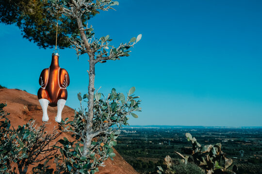 a turkey ornament hanging above a rural valley