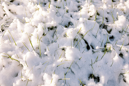 Snow patterns on the grass on a winter day