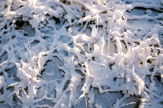 Snow patterns on the grass on a winter day
