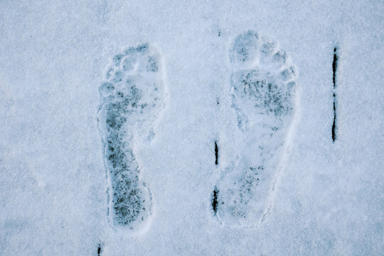 Human footprints in the snow