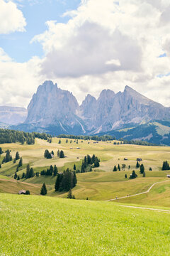  Alpe di Siusi Dolomites Italy