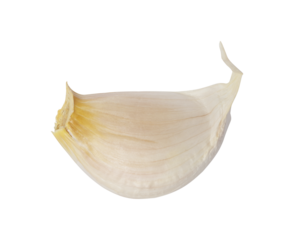 one clove of garlic isolated