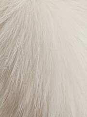 fluffy texture. fluffy white. fluffy background.