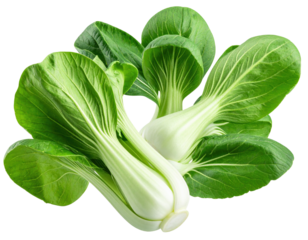 Fresh and Crisp Bok Choy with Vibrant Green Leaves on a Transparent Background