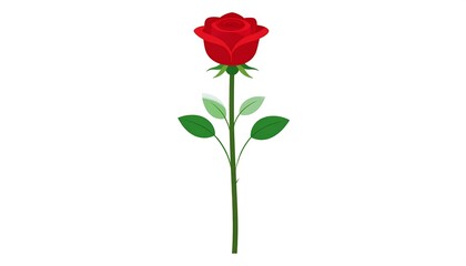 Obraz premium A single, vibrant red rose illustration with green stem and leaves