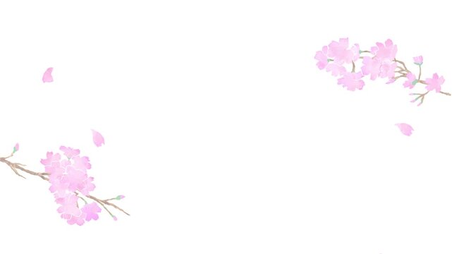 Cherry Blossom Petals Background Seamless Watercolor Loop(5sec.4k)