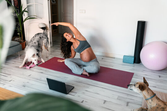 Pregnant Woman Practicing Yoga at Home With Dogs