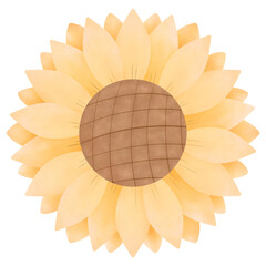 Sunflower Watercolor illustration valentines day of love elements