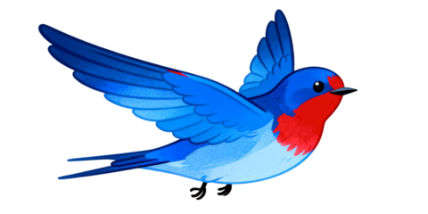 Blue Swallow with Red Breast in Flight