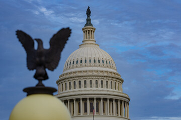 Capitol symbol with powerful eagle silhouette. Capitol architecture representing democratic...