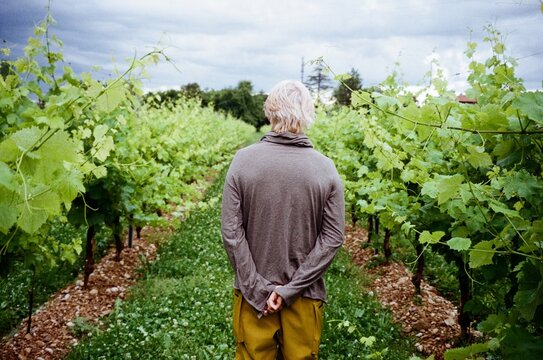 Vineyard Portrait Stormlight