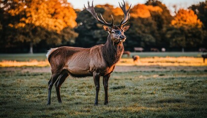 A large deer with antlers stands in a grassy field. Trees are in the background. AI.