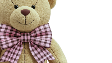Close-up of a Teddy Bear with a Pink and Brown Plaid Bow