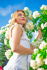 Cute Airy Light Caucasian Fashion Blond Girl in Fragrant Pink Flowers Posing in White Dress in Summer Blossom Park as Fashion, Flowering, Gardening, Cosmetics Concepts.