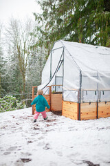 Toddler enjoys free outdoor play in the winter snow beside a backyard greenhouse garden bed. Outdoor parenting, forest school, slow living, family life, and year-round gardening in cold climates.