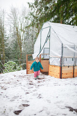 Toddler enjoys free outdoor play in the winter snow beside a backyard greenhouse garden bed. Outdoor parenting, forest school, slow living, family life, and year-round gardening in cold climates.