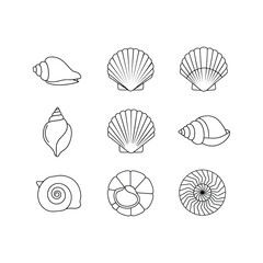 A set of nine seashell silhouette illustrations on a white background