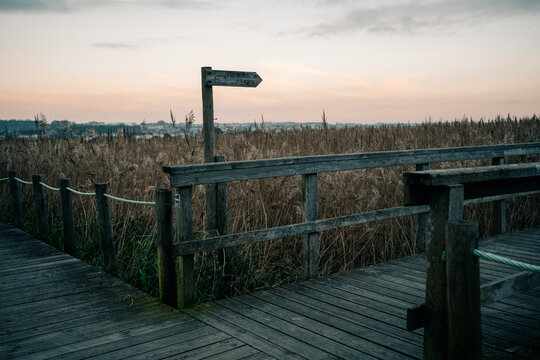 Wooden Pathway Leading to a Natural Landscape at Dusk
