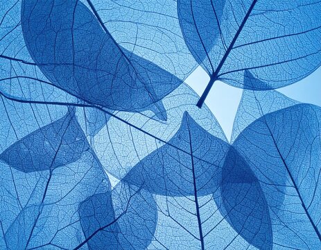 Transparent blue leaves overlay, intricate veins visible, backlit